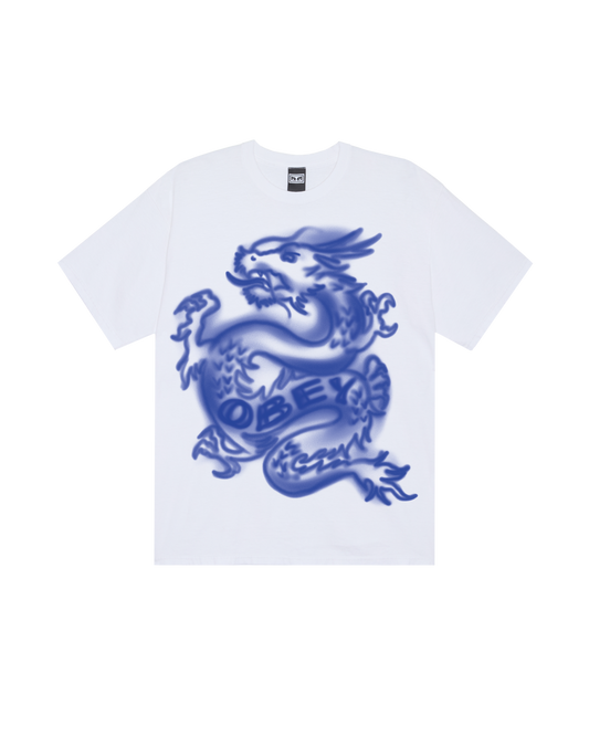 DRACO OVERSIZED T-SHIRT