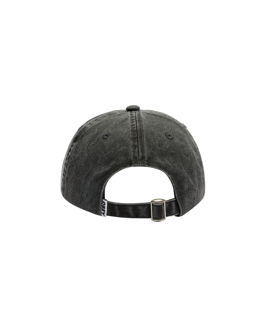 PIGMENT OBEY SLANTED 6 PANEL