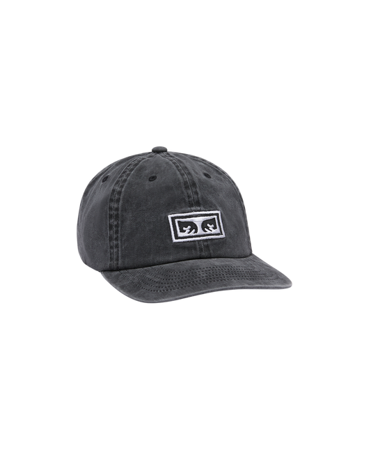 PIGMENT OBEY EYES 6 PANEL VB