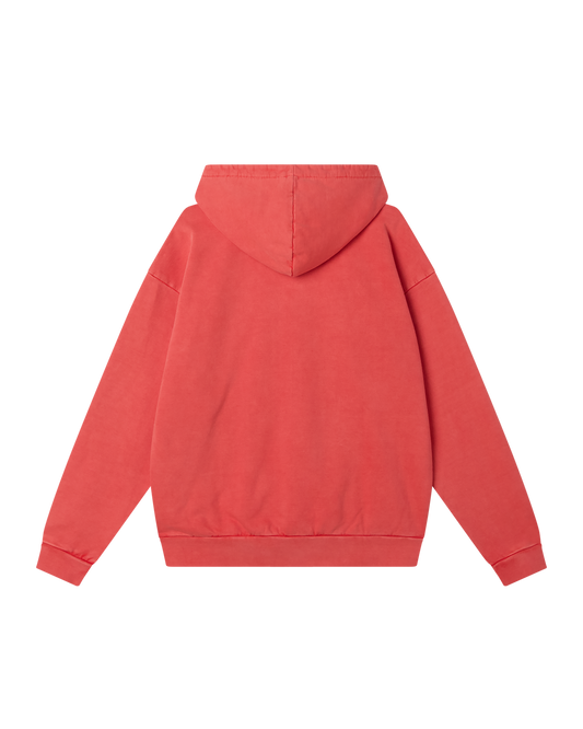 LOWERCASE PIGMENT ZIP HOOD