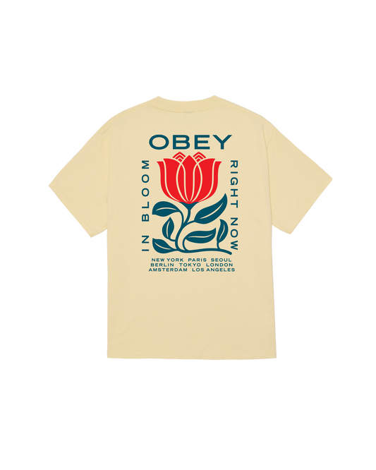 IN BLOOM CLASSIC T-SHIRT